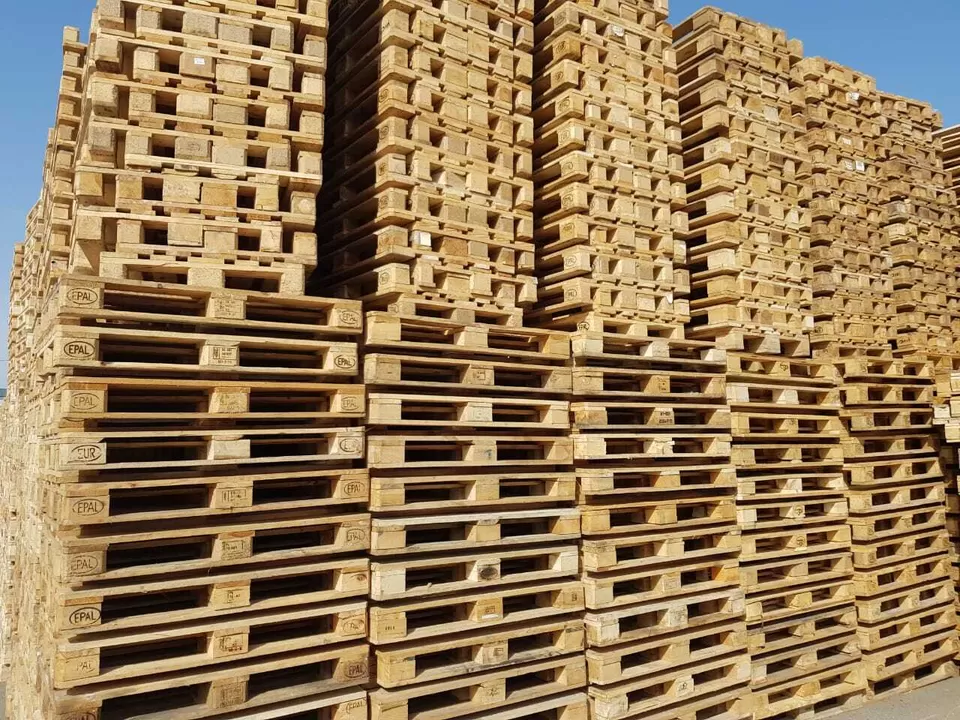 Pallets terkuaz հովանավորից